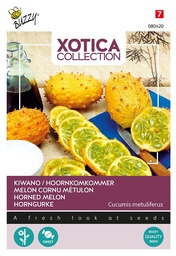[02-080420] Hoornmeloen KIWANO - ca 10 z
