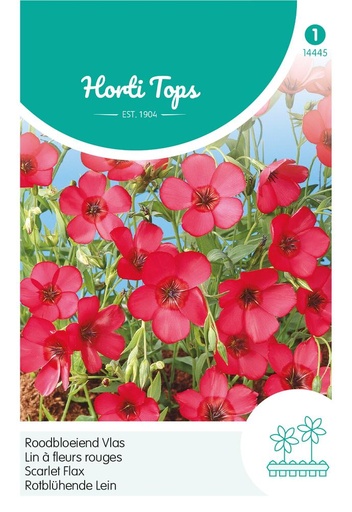 [02-014445] Linum grandiflorum RUBRUM - ca 1,5 g