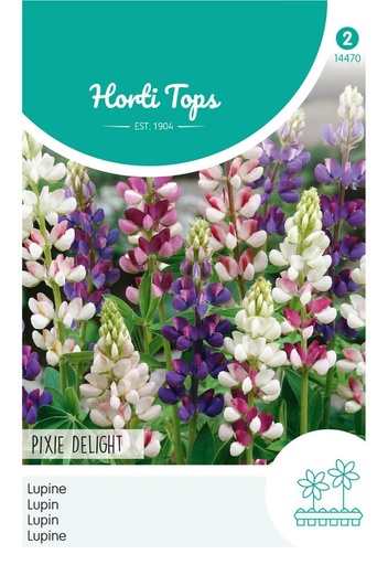 [02-014470] Lupinus nanus PIXIE DELIGHT - ca 2 g