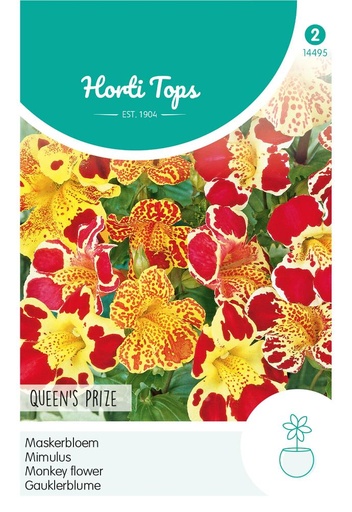 [02-014495] Mimulus tigrinus QUEEN'S PRIZE - ca 15 s