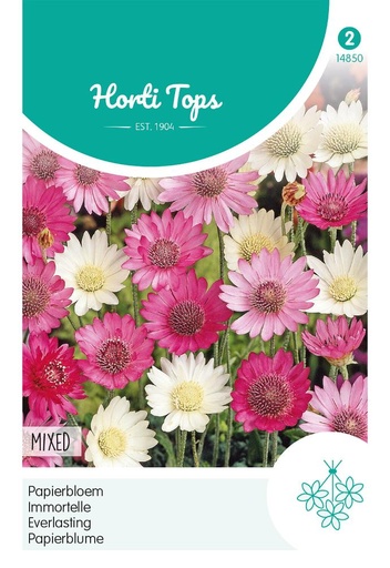 [02-014850] Xeranthemum - Papierbloem gemengd - ca 1 g