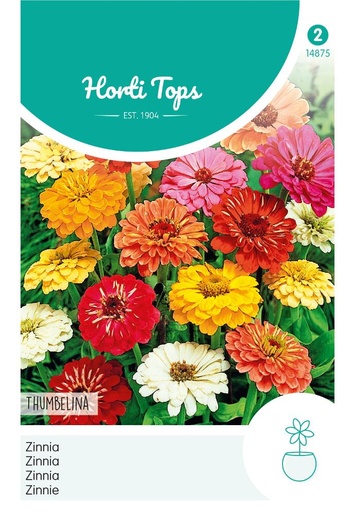 [02-014875] Zinnia elegans THUMBELINA mix - 0,75 g