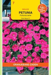 [02-665429] Petunia retombant PINK WAVE F1 - ca 12 semences enrobées