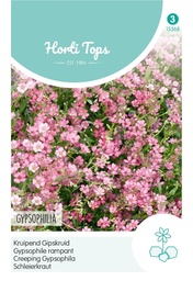 [02-015368] Gypsophila, kruipend Gipskruid rose - ca 0,25 g