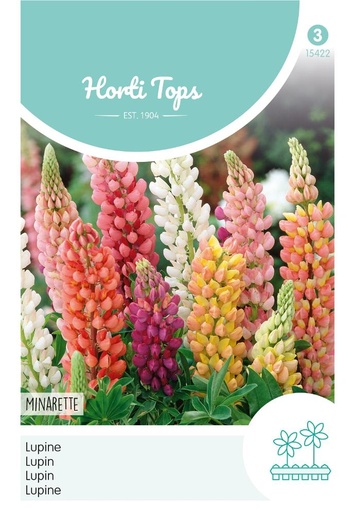 [02-015422] Lupinus polyphyllus MINARETTE mix - ca 1,5 g