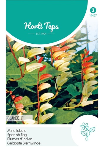 [02-014497] Mina lobata AQUAMOCLIT - ca 1,5 g