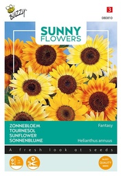 [02-080810] Helianthus annuus MUSICBOX mix - ca 1 g