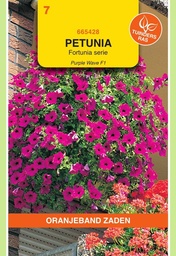 [02-665428] Petunia retombant PURPLE WAVE - ca 12 semences enrobées