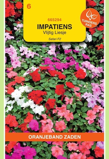 [02-665294] Impatiens walleriana SAFARI F2 - ca 40 z