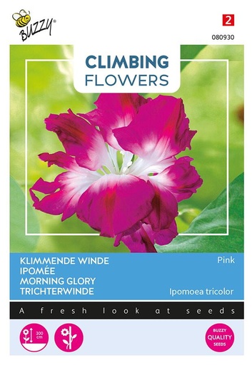 [02-080930] Ipomoea of klimmende winde Dubbel Rose  - ca 2 g