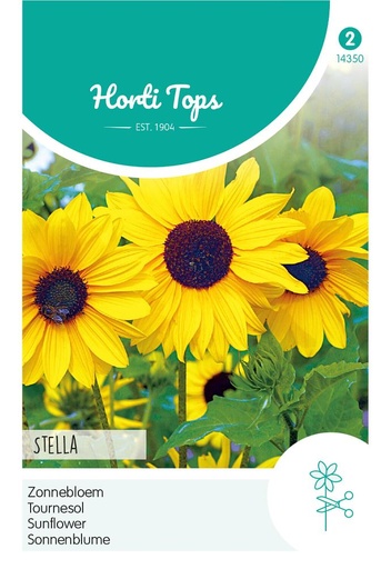 [02-014350] Helianthus STELLA - ca 1 g