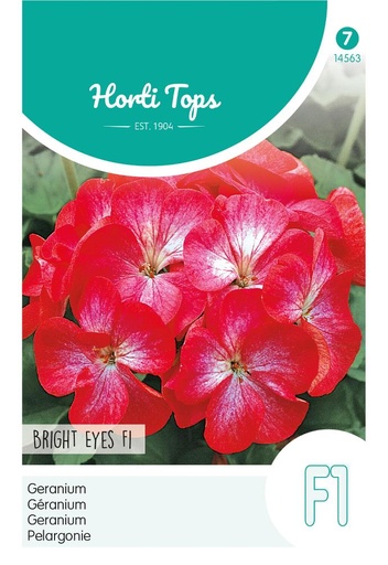 [02-014563] Pelargonium zonale BRIGHT EYES - ca 10 s