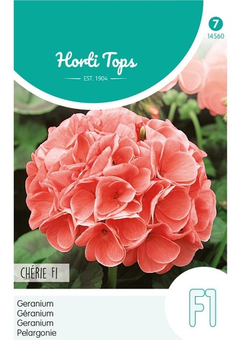 [02-014560] Pelargonium zonale CHERIE - ca 10 z