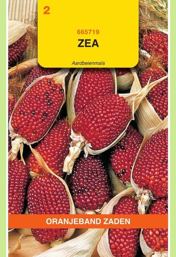 [02-665719] Mais ornemental FRAISE-MAIS - ca 3 g