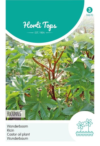 [02-014670] Ricinus ZANZIBARENSIS - ca 5 g
