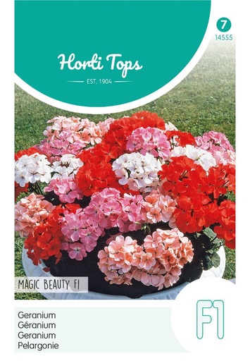 [02-014555] Pelargonium zonale F1 MAGIC BEAUTY - ca 10 z