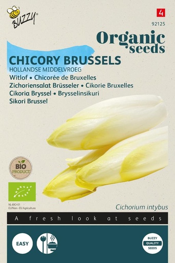 [02-092125] Witloof middelvroeg (BIO) - ca 3 g