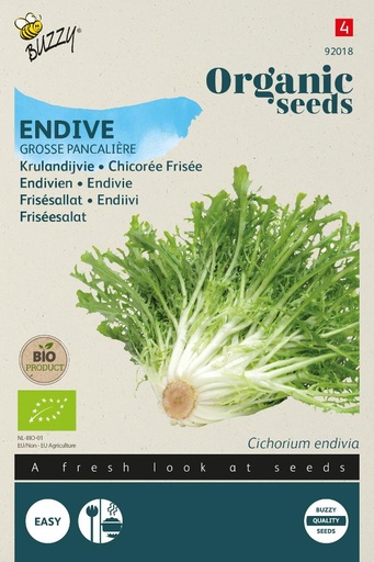 [02-092018] Bio - Chicorée scarole d'été GROSSE PANCALIERE - ca. 2 g