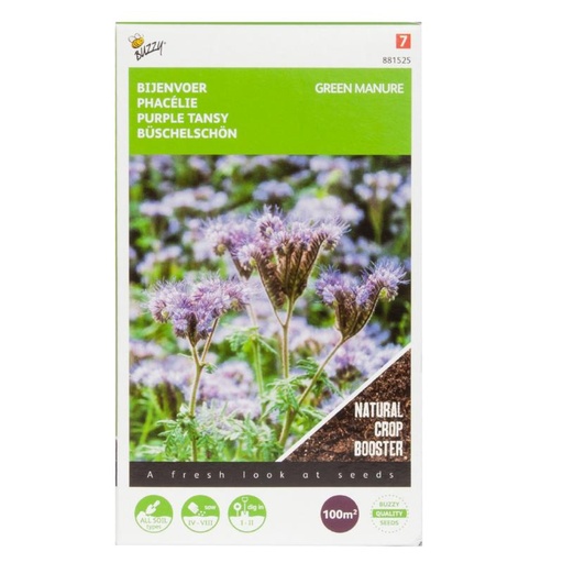 [02-881525] Phacelia - ca 100 g