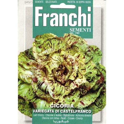 [02-880633] Chicorée rouge RADICCHIO DI CASTEL FRANCO - ca 8 g