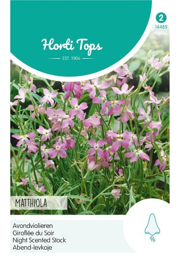 [02-014489] Matthiola GIROFLEE ROSE - ca 0,15 g
