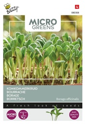 [02-080308] Microgreens BOURACHE - ca 8 g