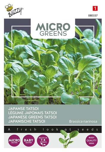 [02-080337] Microgreens TATSOI - ca 1 g