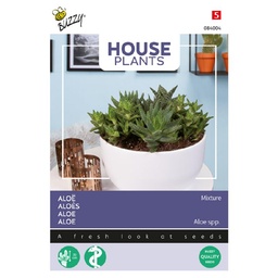 [02-084004] House Plants Aloès Mélange - ca 5s