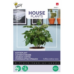 [02-084011] KOFFIEPLANT - ca 15 z