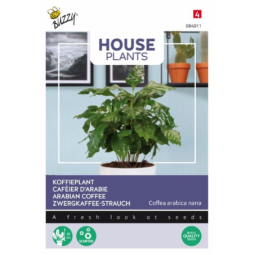 [02-084011] ###KOFFIEPLANT - ca 15 z