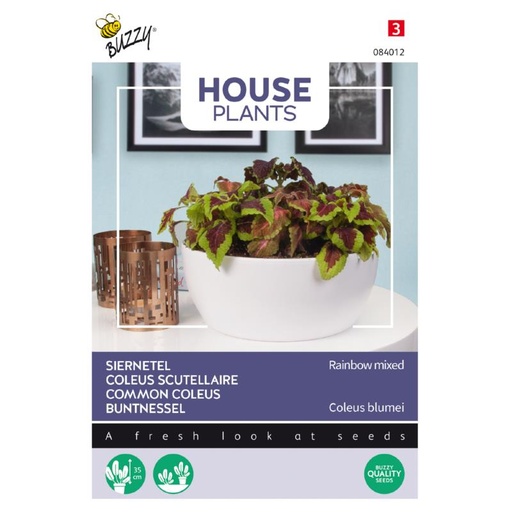 [02-084012] COLEUS SCUTELLAIRE RAINBOW MIXED - ca 0,25 g