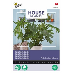 [02-084026] PHILODENDRON - ca 20 z