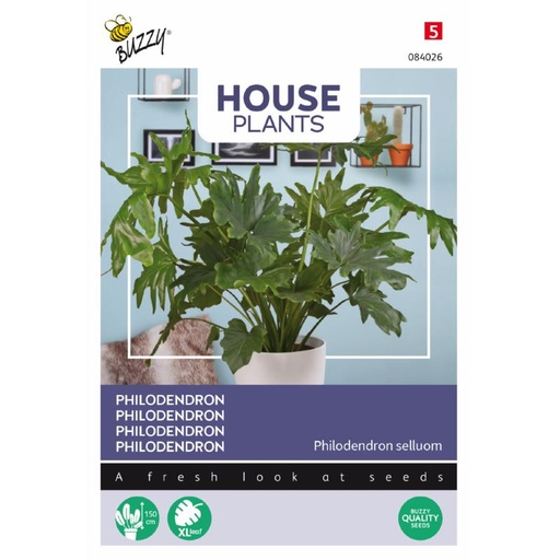 [02-084026] PHILODENDRON - ca 20 s