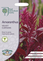 [02-827396] ###Amaranthus Velvet Curtains - ca. 1500 zaden