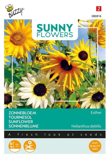 [02-080816] Helianthus ESTHER - ca 1 g