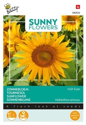 [02-080826] Helianthus IRISH EYES - ca 1 g