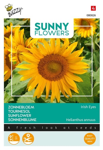 [02-080826] Helianthus IRISH EYES - ca 1 g