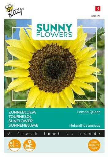 [02-080828] Helianthus LEMON QUEEN - ca 1 g
