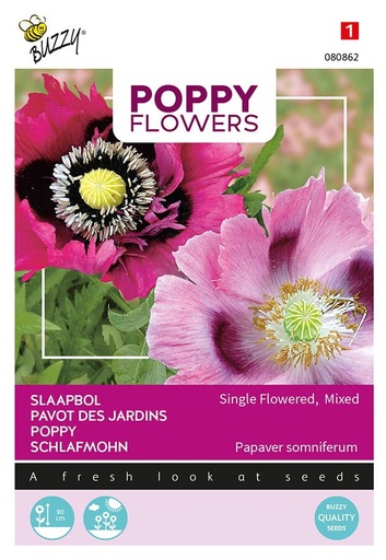 [02-080862] Papaver somniferum SLAAPBOL - ca 1 g