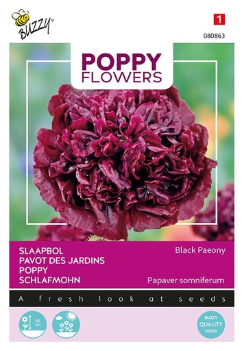 [02-080863] Papaver BLACK PAEONY - ca 0,08 g