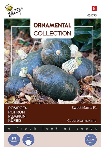 [02-024775] Potimarron SWEET MAMA F1 - ca 8 s