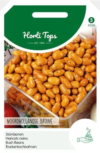 [02-013250] Haricots à écosser BRUN DE HOLLANDE DU NORD - ca 100 g