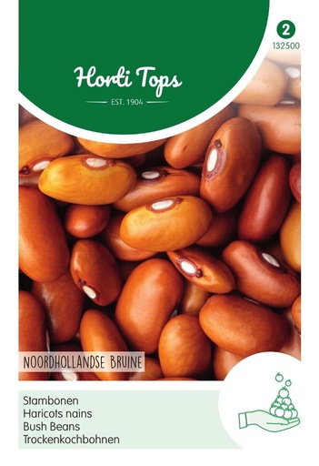 [02-013250] Haricots à écosser BRUN DE HOLLANDE DU NORD - ca 100 g