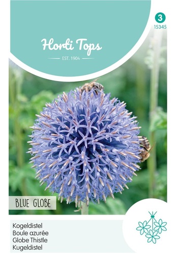 [02-015345] Echinops bannaticus BLUE GLOBE - ca 0,5 g
