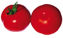 [04-000664] Tomates charnues PITAGORA F1 - ca 20 s