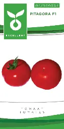 [04-000664] Vleestomaten PITAGORA F1 - ca 20 z