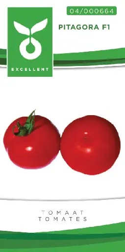 [04-000664] Tomates charnues PITAGORA F1 - ca 20 s