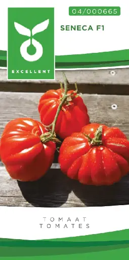 [04-000665] Coeur de boeuf SENECA F1 - ca 20 z