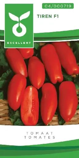 [04-000719] Tomates TORRANO F1 - ca 20 s