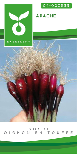 [04-000533] Oignon en touffe APACHE - ca. 1000 s